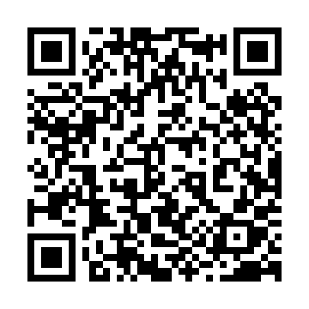QR code for 294PPX