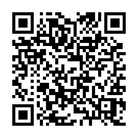 QR code for 294RIR