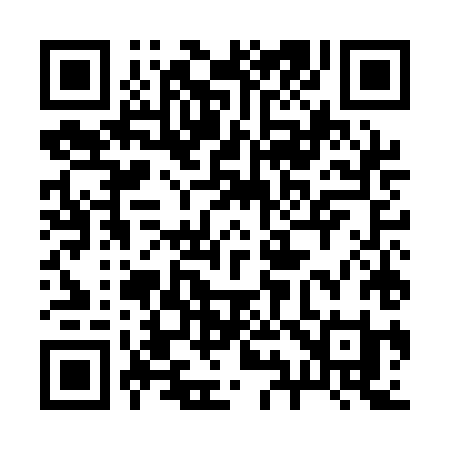 QR code for 295AHI