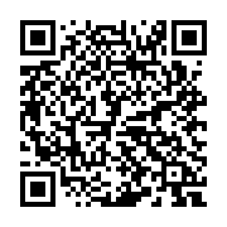 QR code for 295APA