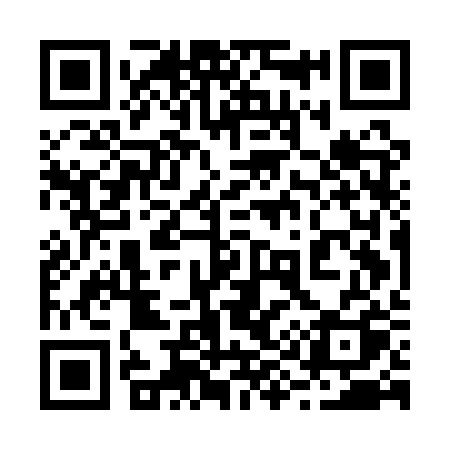 QR code for 295ARQ