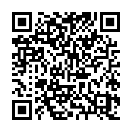 QR code for 295AXY