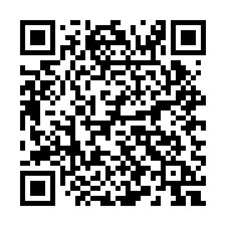 QR code for 295BQA