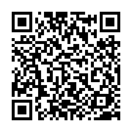 QR code for 295BZI