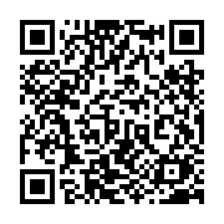 QR code for 295CKM