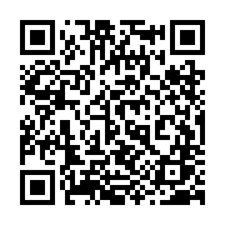 QR code for 295CNS