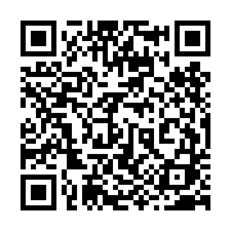 QR code for 295DDI