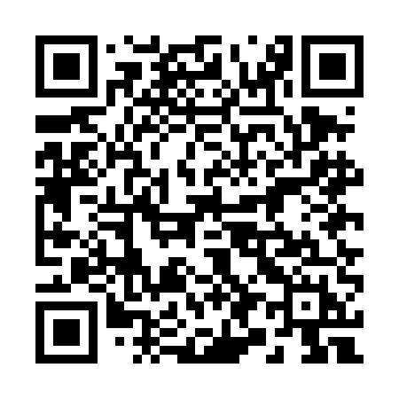 QR code for 295DEH