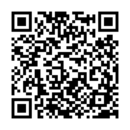 QR code for 295DTK