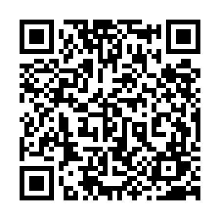 QR code for 295EFT