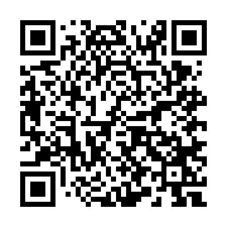 QR code for 295FLO