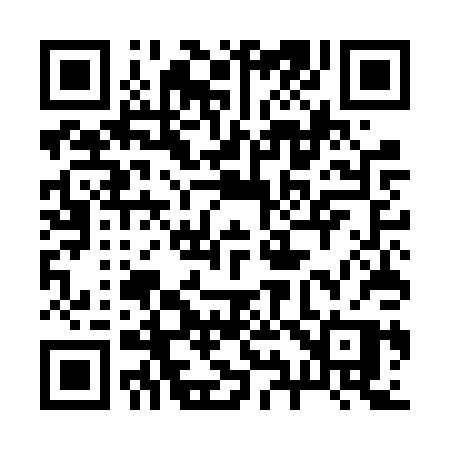 QR code for 295FPP