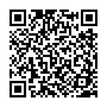 QR code for 295GDK