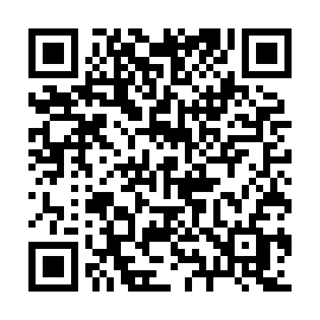 QR code for 295HCF