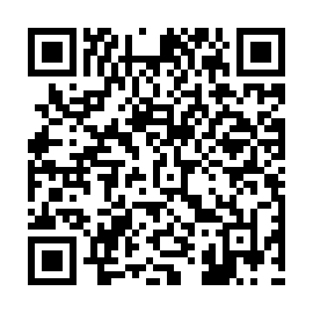 QR code for 295IRN