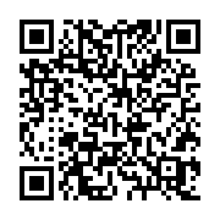 QR code for 295IWB