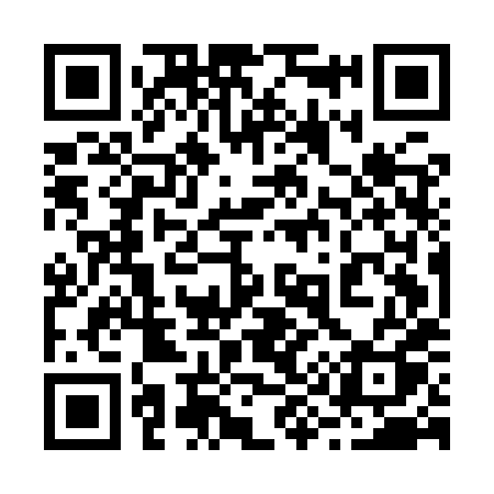 QR code for 295IXQ
