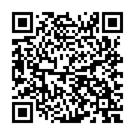 QR code for 295IZO