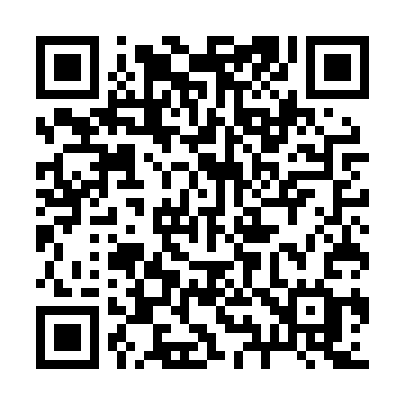 QR code for 295LSG