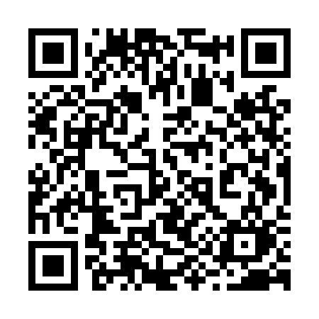 QR code for 295LSO