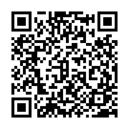 QR code for 295LTP