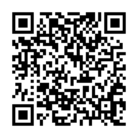 QR code for 295LUN