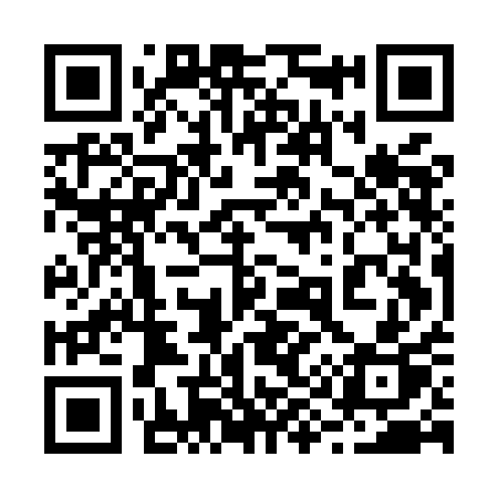 QR code for 295MAP