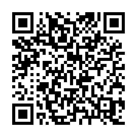QR code for 295MBB