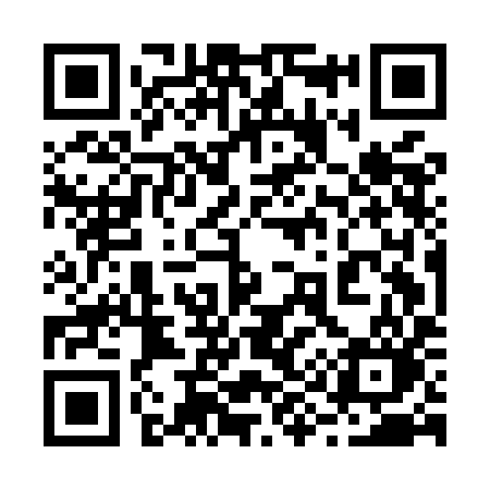 QR code for 295MIO
