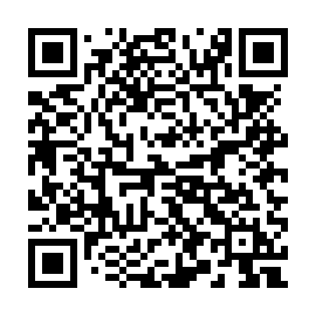 QR code for 295NQH