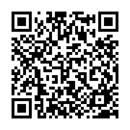 QR code for 295OAG
