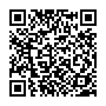 QR code for 295OCH