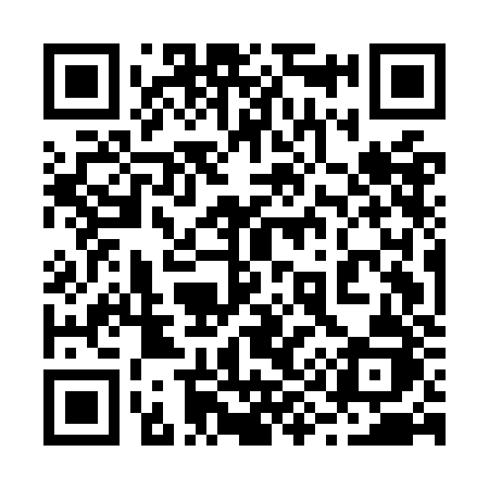 QR code for 295OJJ