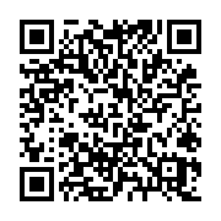 QR code for 295OLU