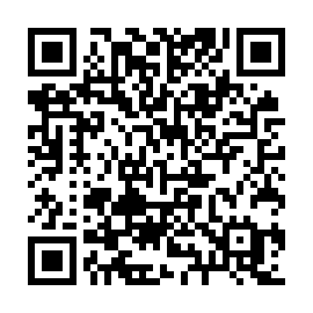 QR code for 295ORE