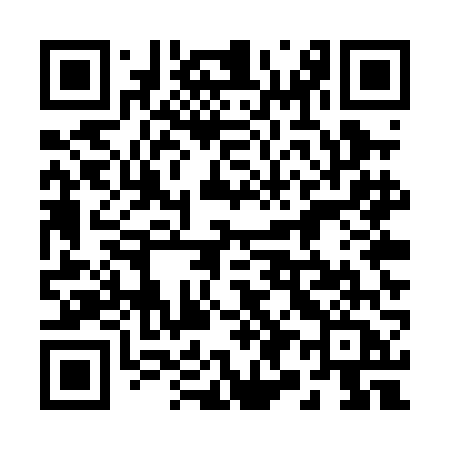 QR code for 295PFA