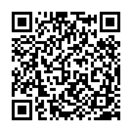 QR code for 295PFS