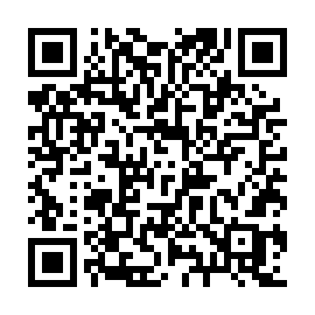 QR code for 295PGB