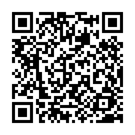 QR code for 295PJJ