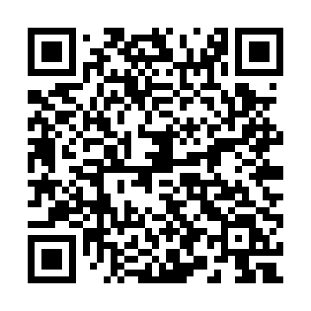 QR code for 295PPL