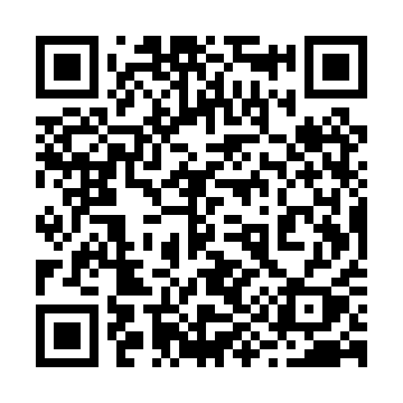 QR code for 295PQY