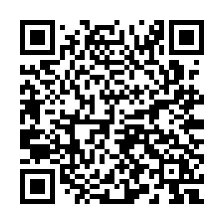 QR code for 295QDX