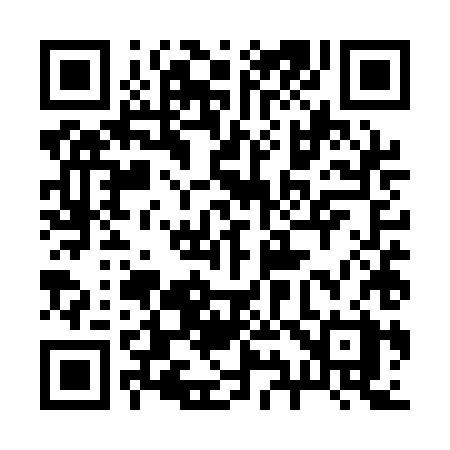 QR code for 295QHX