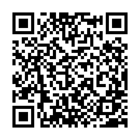QR code for 295QLP