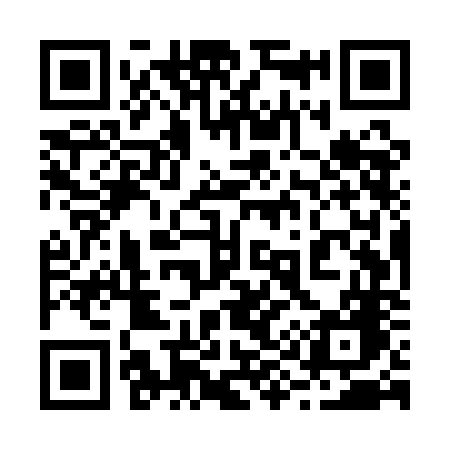 QR code for 295QNG