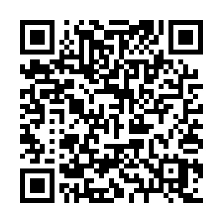 QR code for 295QQU