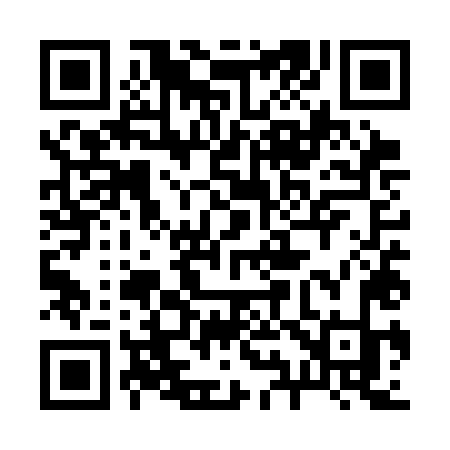 QR code for 295SLK