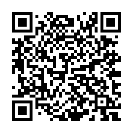 QR code for 295TIA