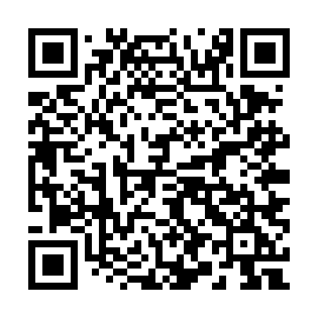 QR code for 295TLE