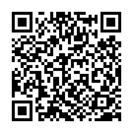 QR code for 295TQZ